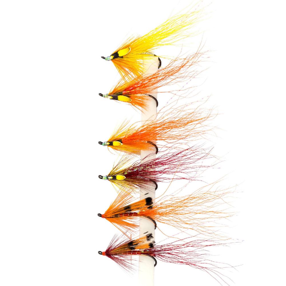 Sea Trout, Salmon & Surf