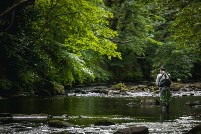Five top dry fly fishing tips