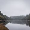Snowbee Spectre Pro 9ft #9 Predator Fly Rod