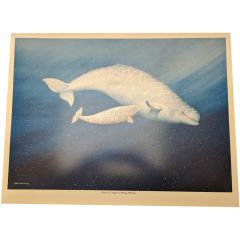 Robin Armstrong Beluga Whales Print - 56.5 x 43cm