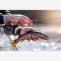 Snowbee Knotted French Leader - 16ft
