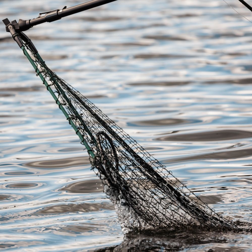 Snowbee Telescopic Folding Landing Net - S