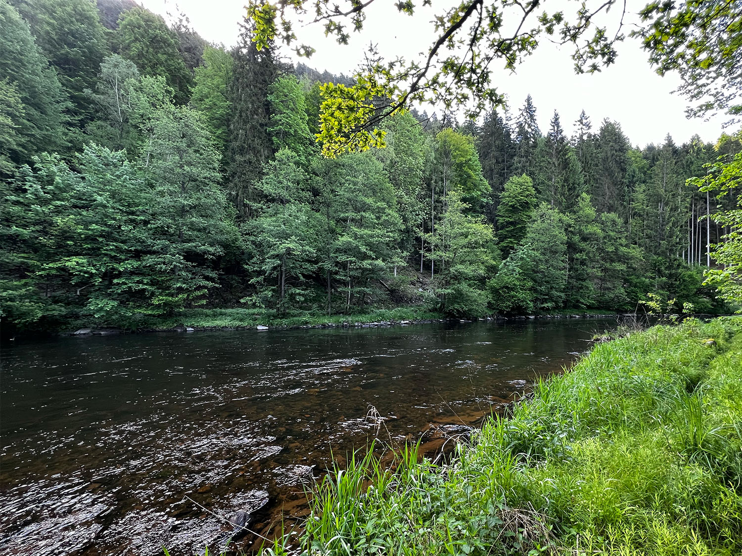 Looking upstream into the deep pool and the top of my peg