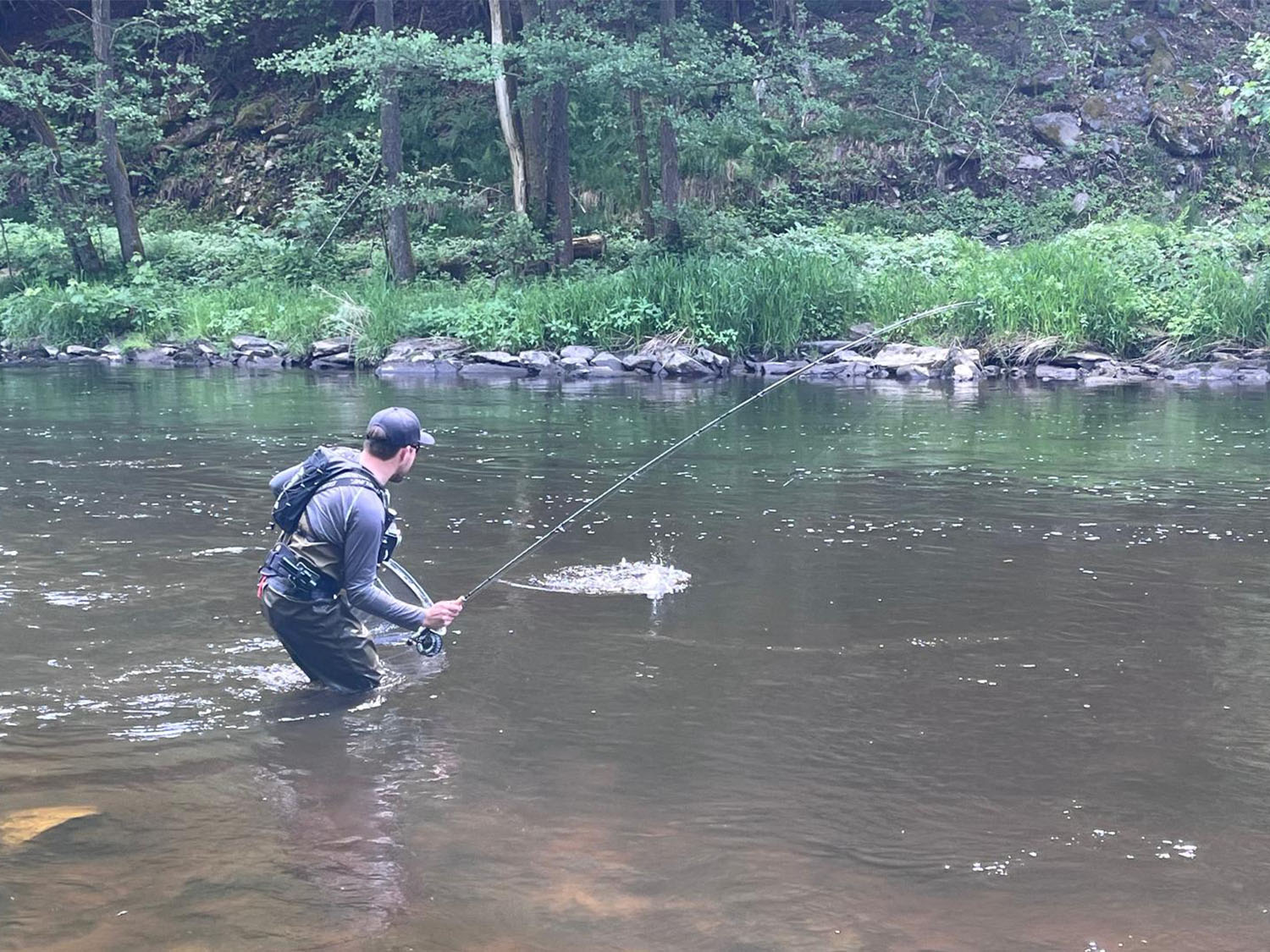 My 10ft 6wt Spectre pro playing the large stock fish well