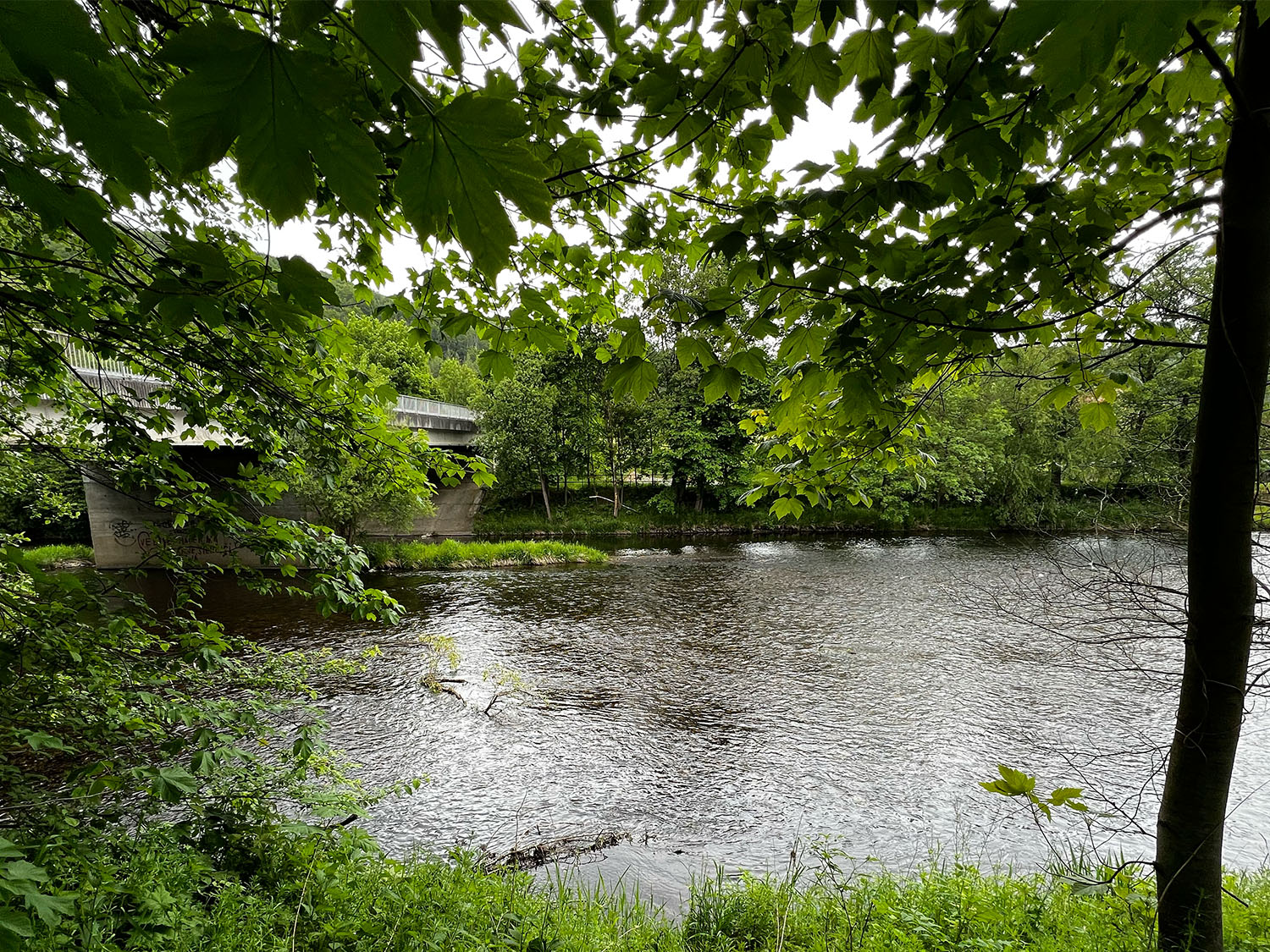 The lower limit, showing the section under the bridge