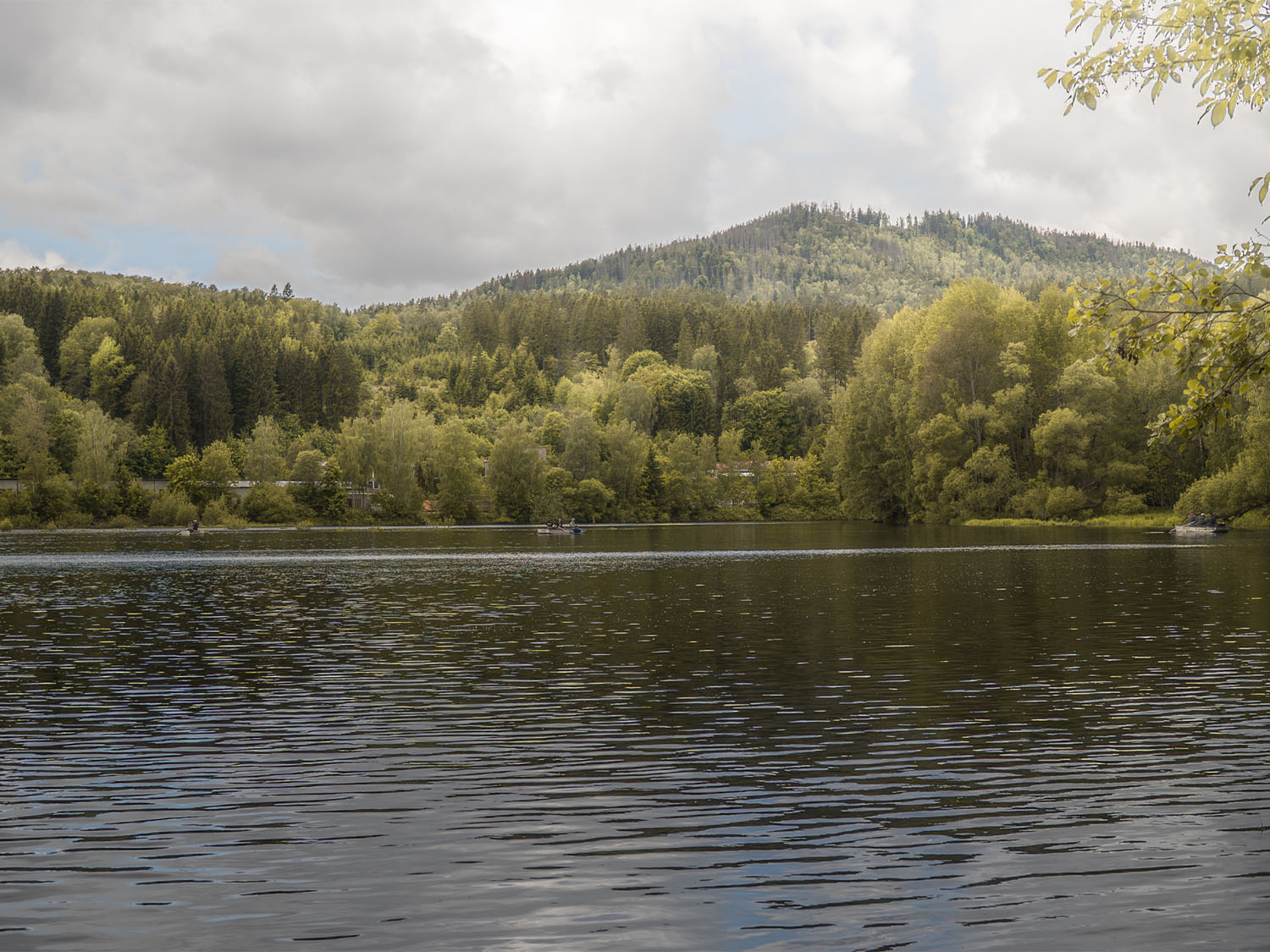 The lake looking up to the top corner, where most anglers fished