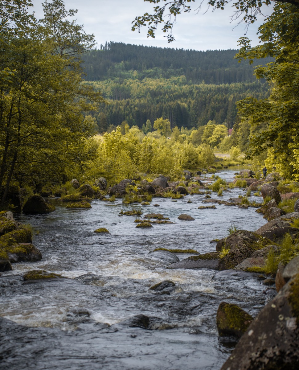 From the top of my peg looking downstream, it ran to where the long flat started