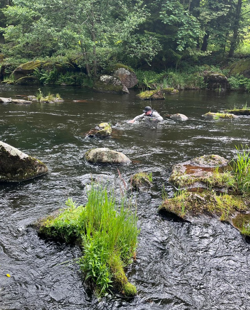 Wading back with a fish in the treacherous flow and large potholes.