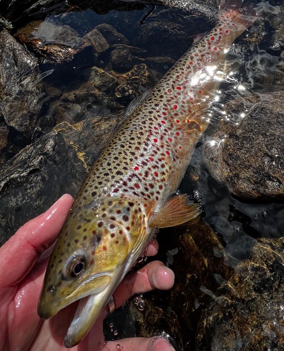 Practice water