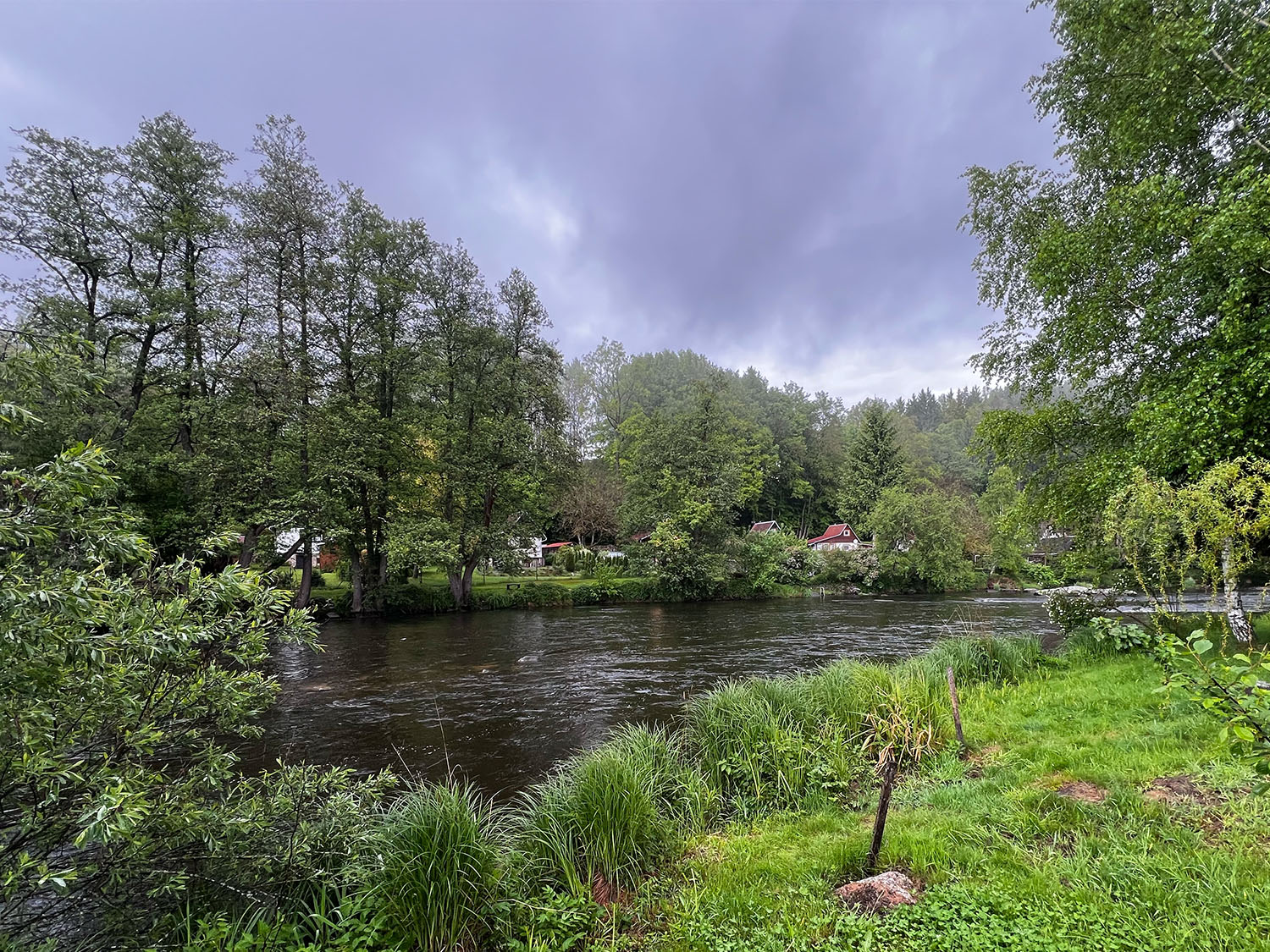 The tail of the main run where the fish were rising