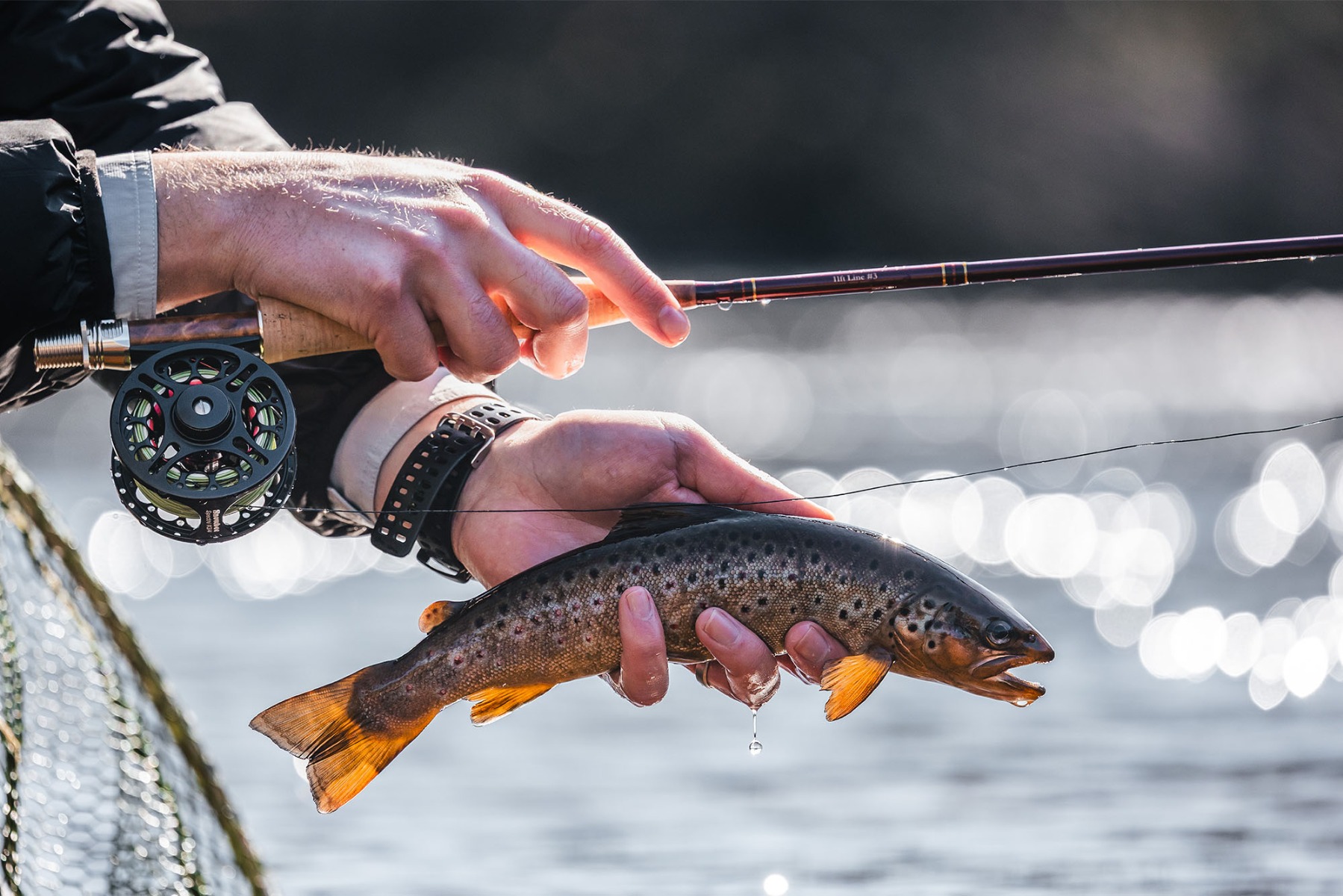 James Atkinson Trout in hand, another successful catch